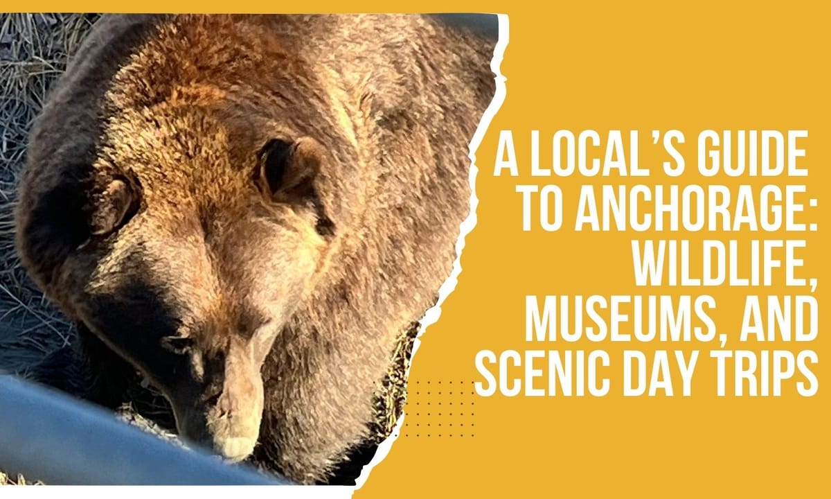 A Local’s Guide to Anchorage: Wildlife, Museums, and Scenic Day Trips